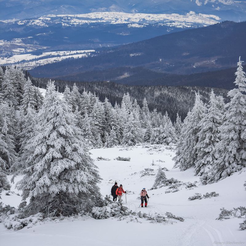 Карпаты. Украина ***photo preview
