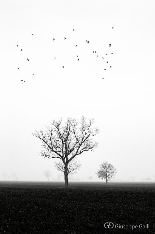 Countrysidephoto preview