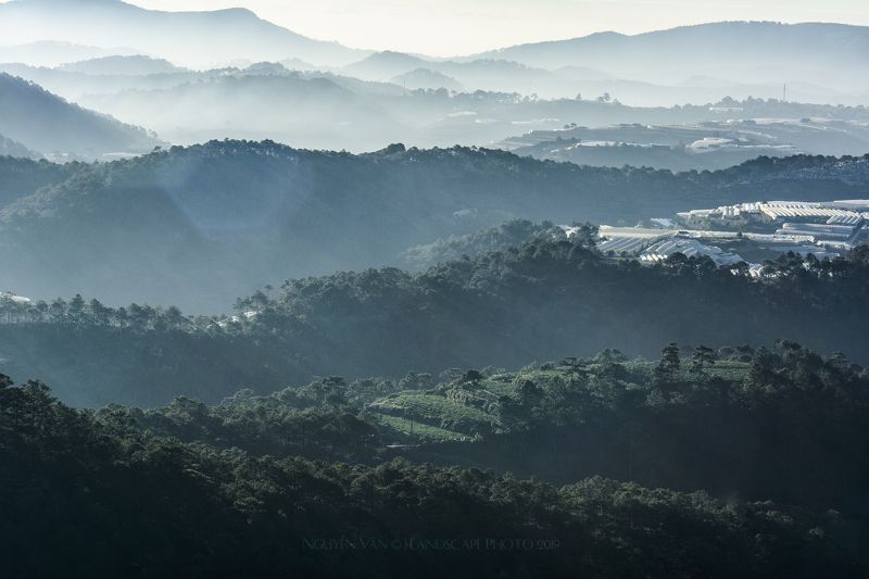 Fog Da Lat 2019photo preview