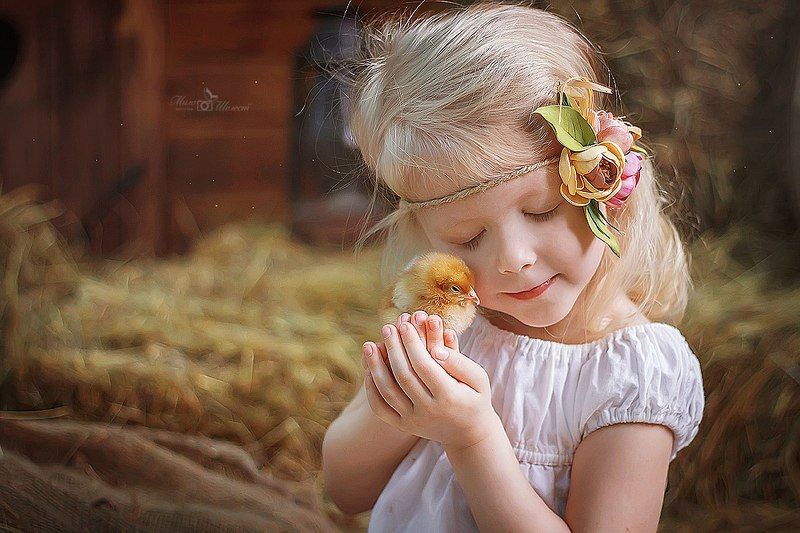 девочка, портрет, цыпленок, деревня, деревенский, пасхальный, птица, питомец, блондинка, ребенок, малыш, детство ***photo preview