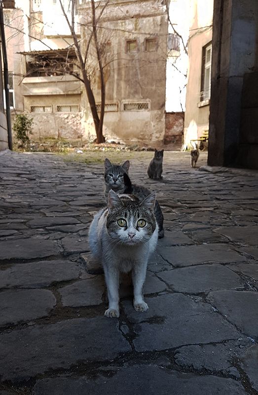 Wrong neighborhoodphoto preview