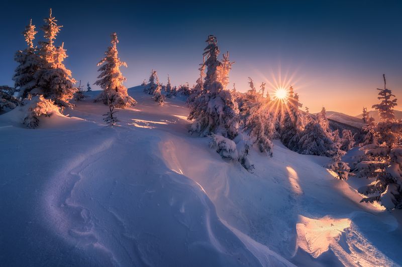 On the way to the lightphoto preview