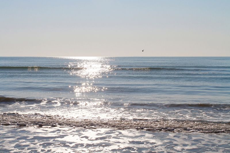 Чёрное мореphoto preview