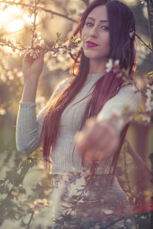 spring is comingphoto preview