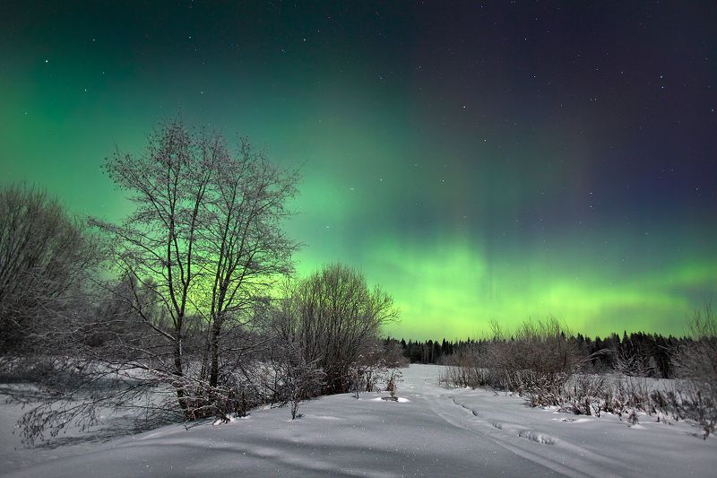 8, марта Март. фото превью