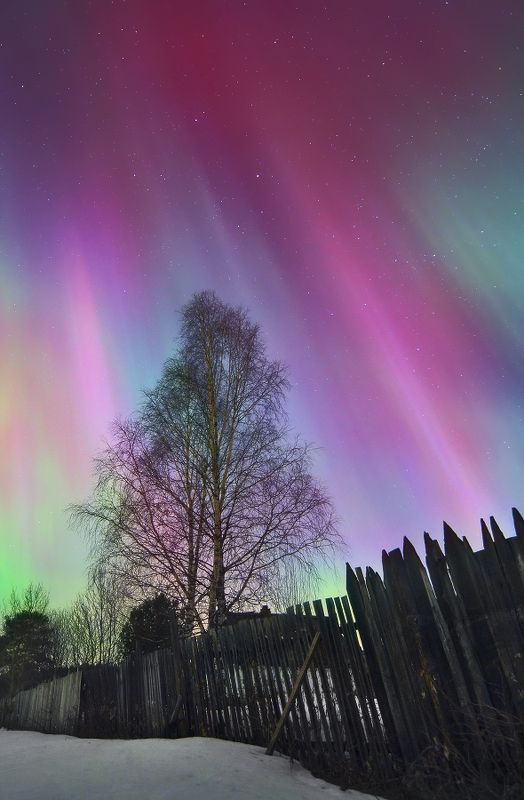 За околицей... фото превью