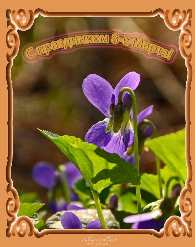 весна, март, праздник, открытка С праздником!photo preview