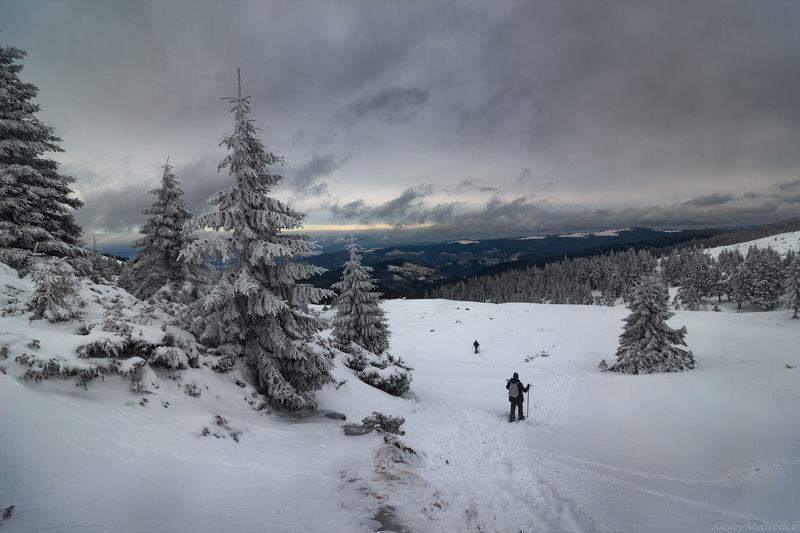 Карпаты, Украина ***photo preview