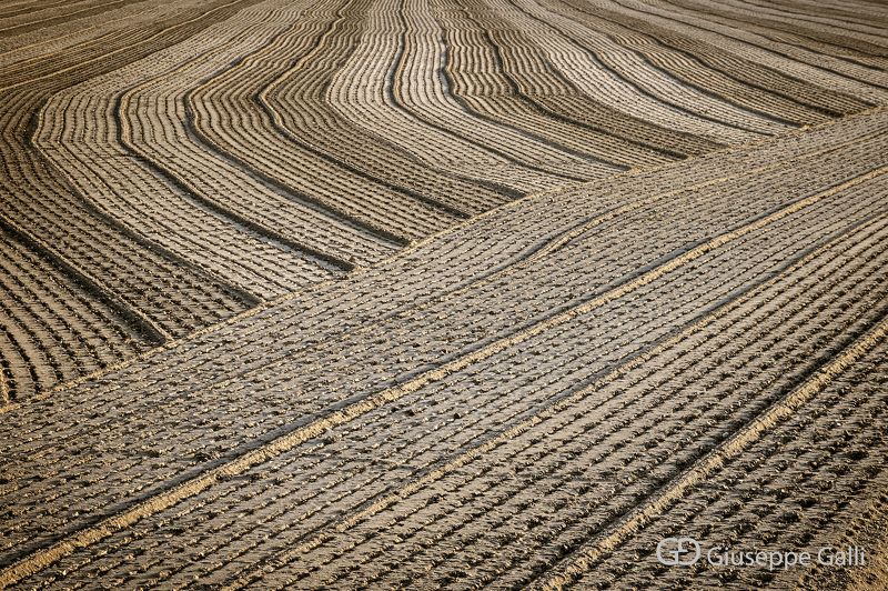 Countrysidephoto preview