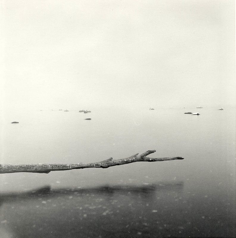 filmphotography, analogphotography, darkroomphotography, silvergelatineprint, b&w, blackandwhite Thoughts and feelings.photo preview