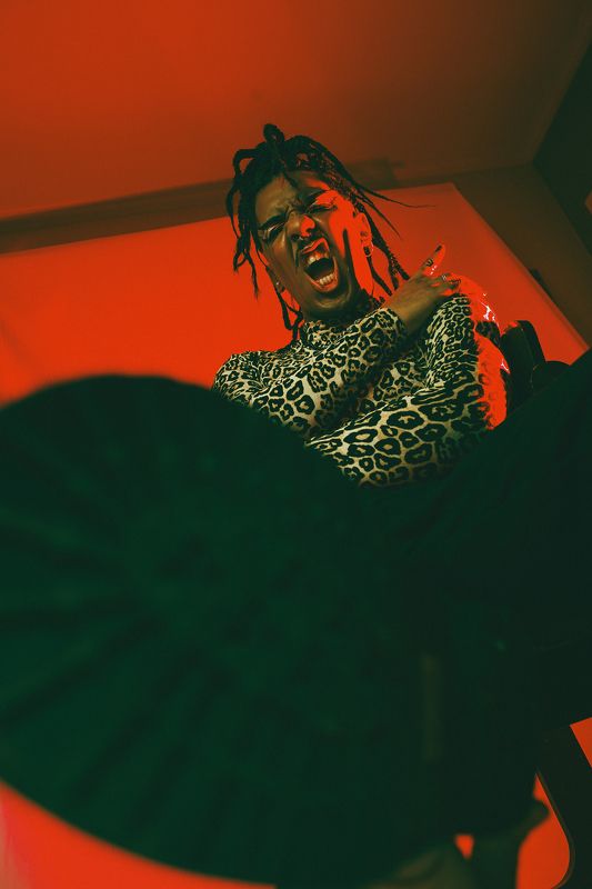 Punked!photo preview