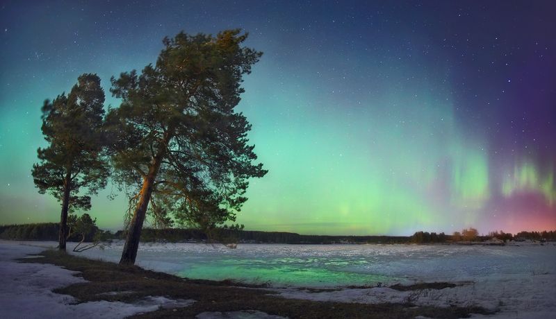 Март... фото превью