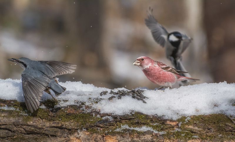 И пусть весь мир подождёт…photo preview
