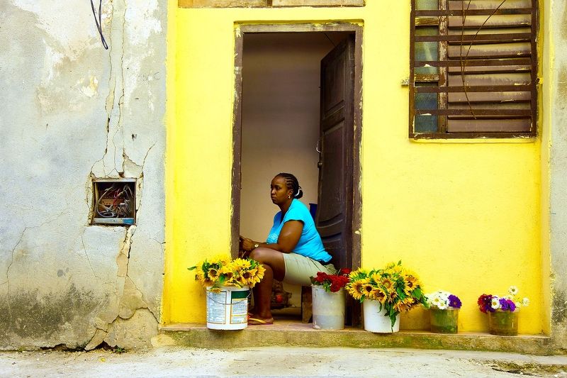 Жёлтые цветы фото превью