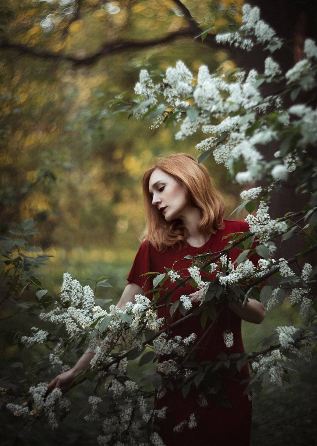 ***. Автор: Ариадна Белкина , Ариадна Белкина