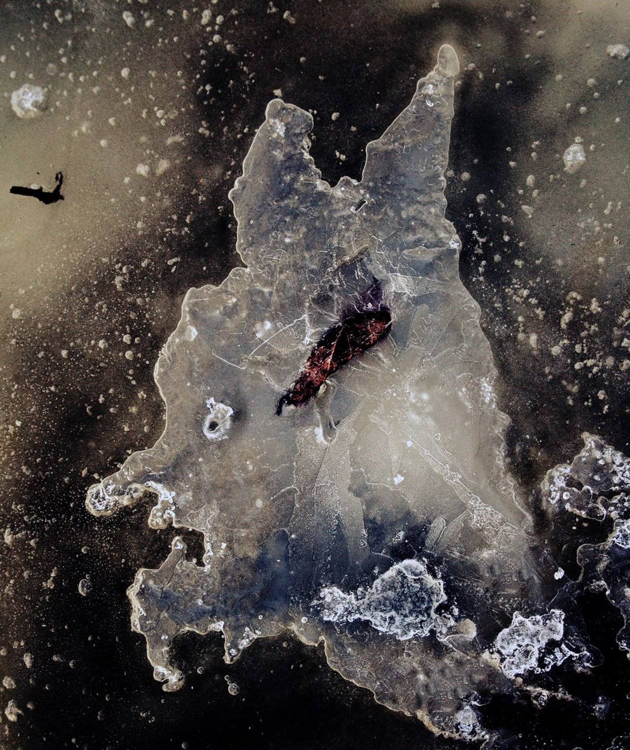 pareidolia, ПОЛУЕВ ИЛЬЯ