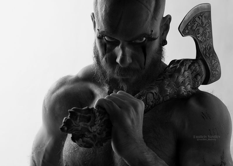 викинг викинги берсерк Флокиphoto preview