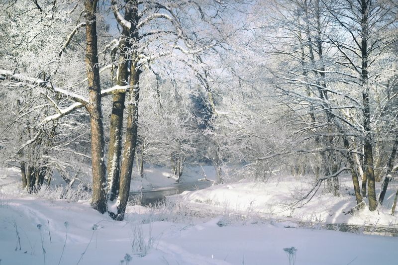 Зима на исходеphoto preview