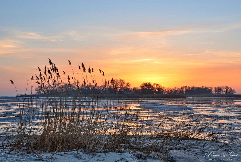март, утро, рассвет, восход, камыши. острова, днепровские плавни, ледоход Мартовский восход. Плавниphoto preview
