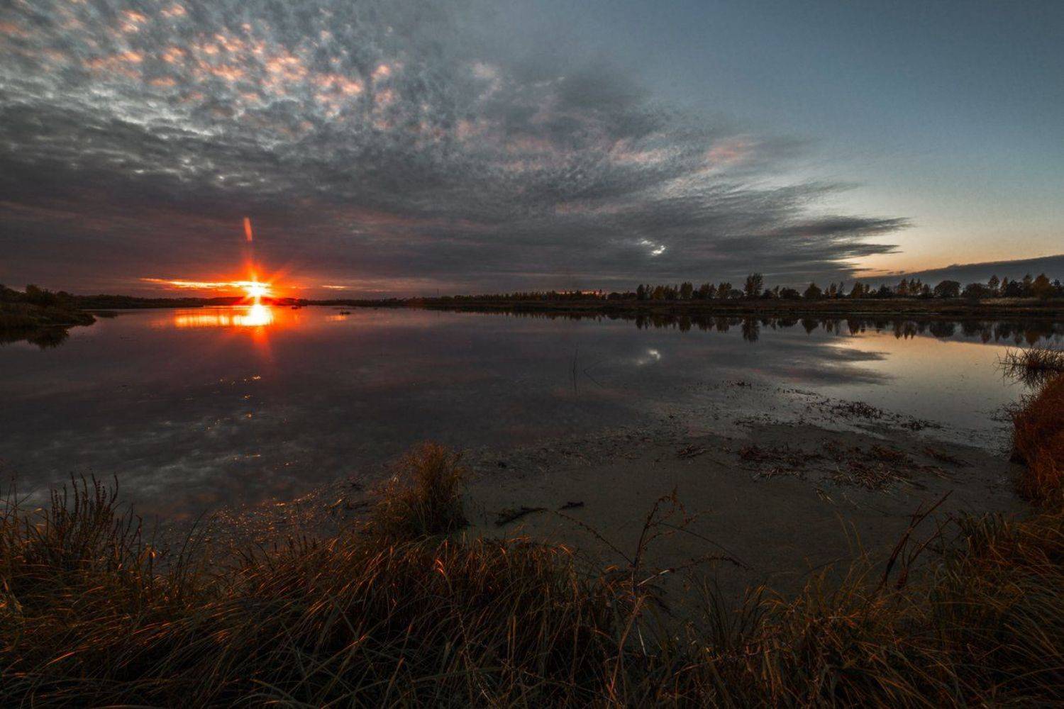 , Евгений Цветков