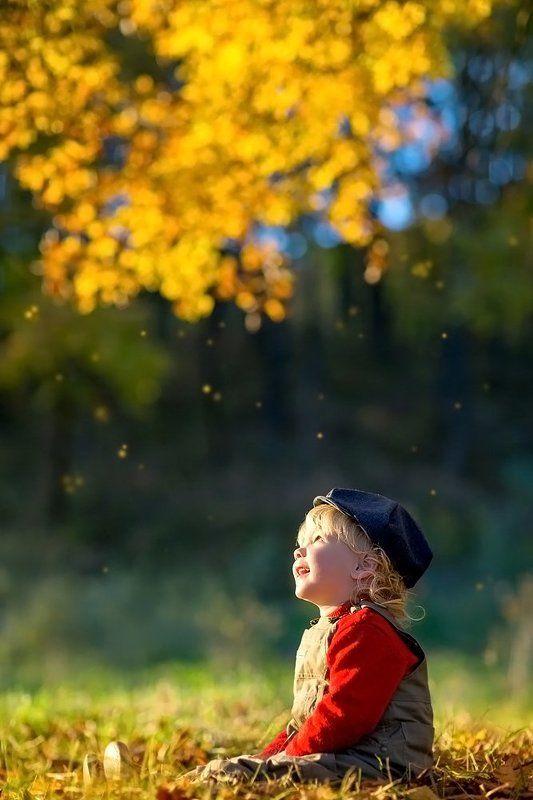 Осени дождик золотойphoto preview