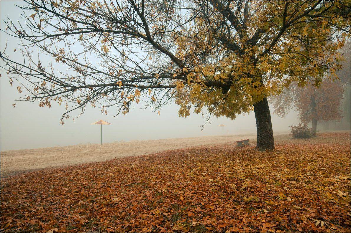 , Николай Шахманцир