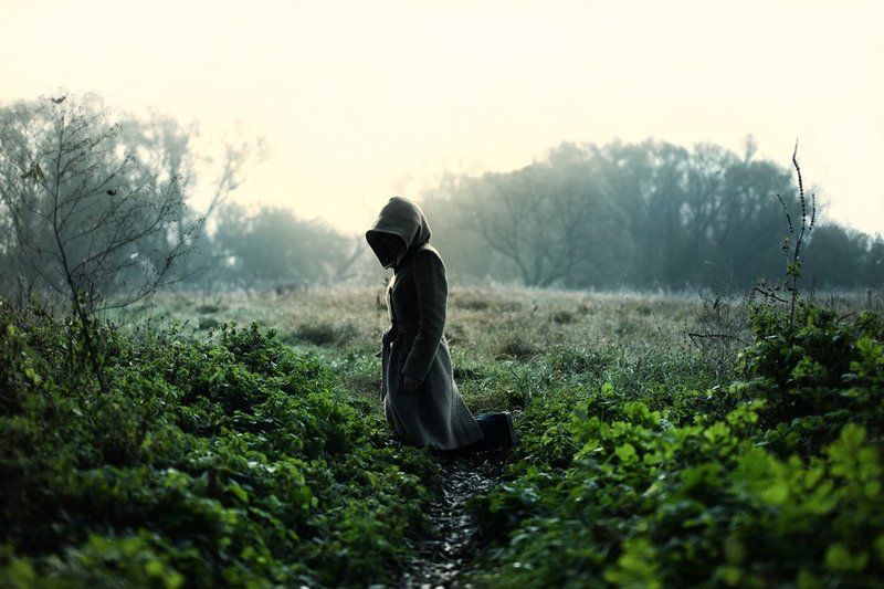 haze of reasonphoto preview