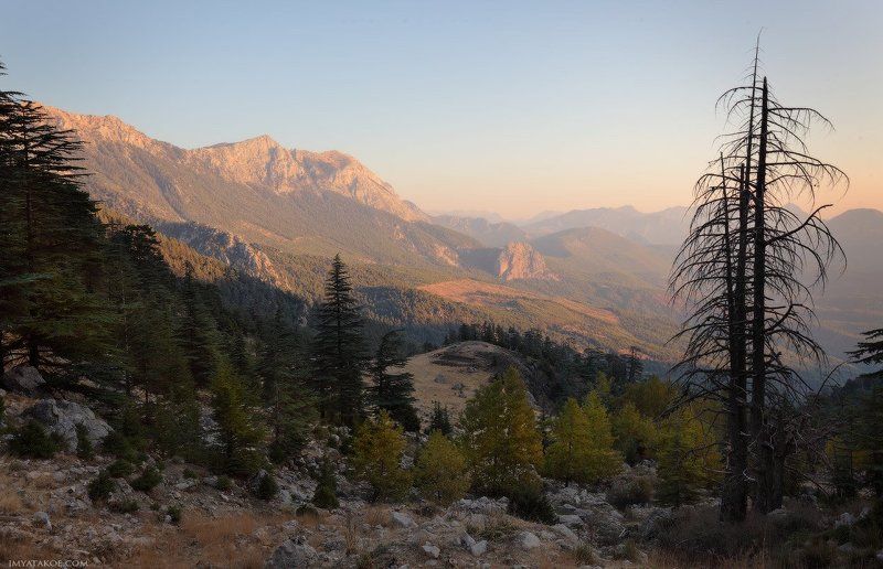 Утро Турецкоеphoto preview