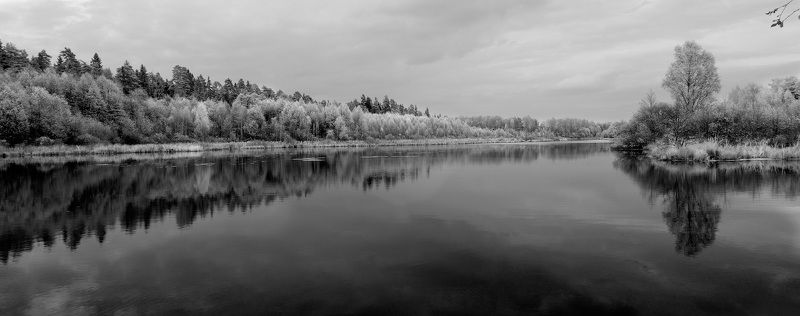 Разная осеньphoto preview