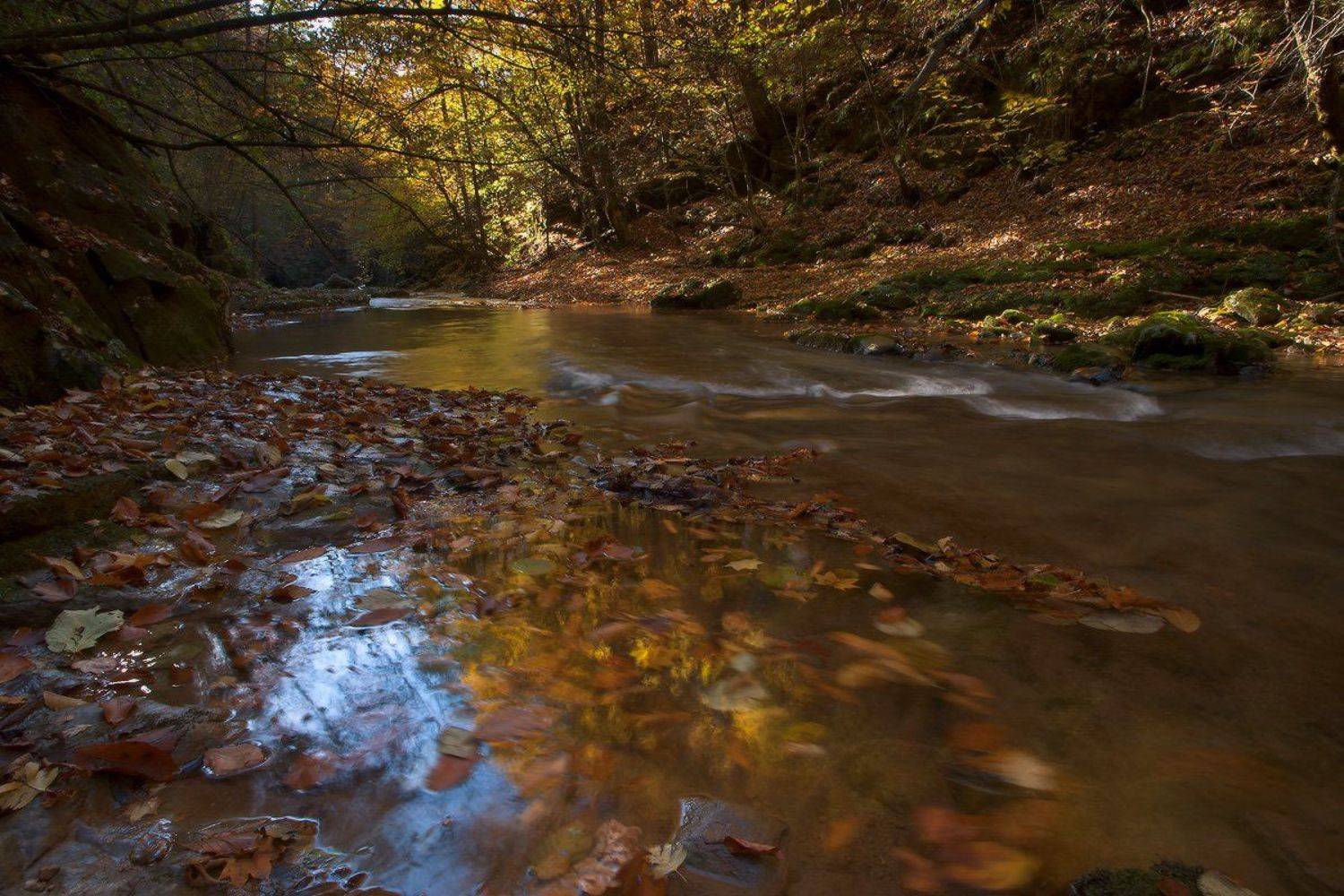 , Ирина Заграничная