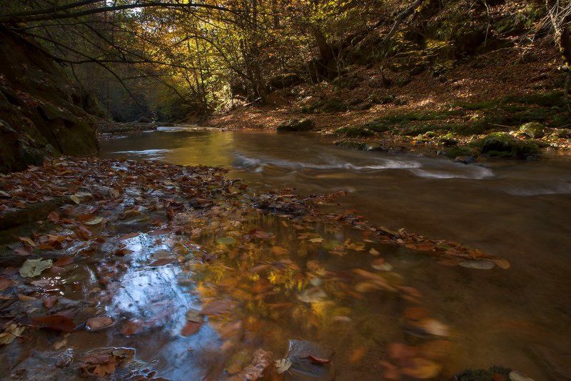 *В багрец и золото одетые леса*photo preview