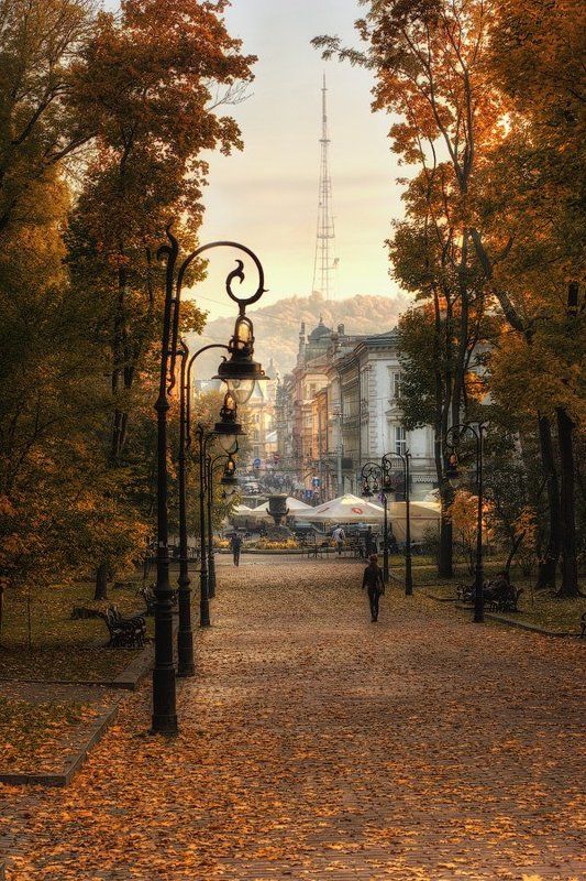 Осень, Парк Осень в паркеphoto preview