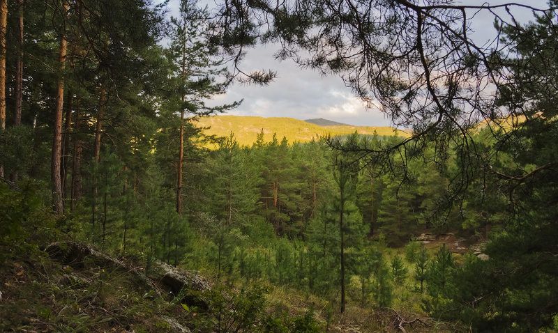 Встречая новый день фото превью