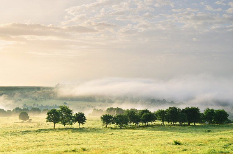 Утро фото превью