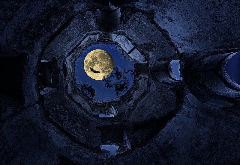 Бери метлу, летим домой!photo preview