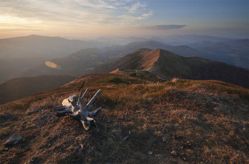 Рогате і кришечкаphoto preview