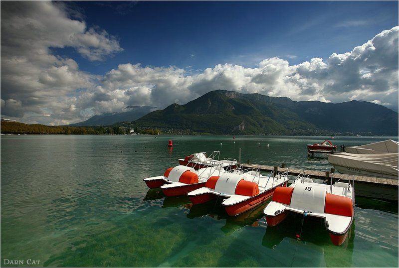 В ожидании прогулкиphoto preview