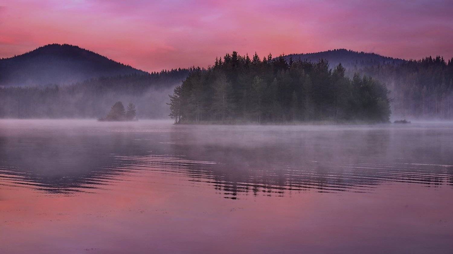 Автор: Albena Markova , Albena Markova