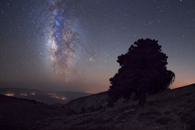 Самый настоящий светphoto preview