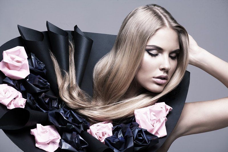 Delicate rosephoto preview