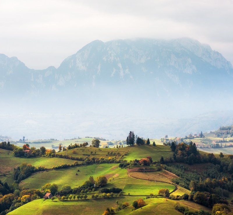 Autumn, Fog, Hills, Landscape, Nature, Romania, Transilvania, Trees Early autumn on the hillsphoto preview
