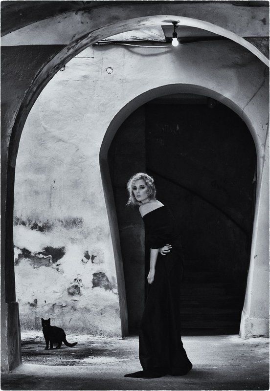 кошки...photo preview