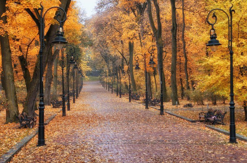 Осенний паркphoto preview