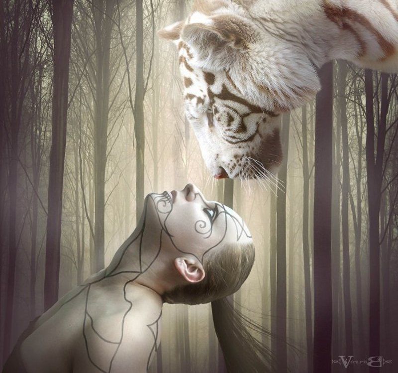 Взглядphoto preview