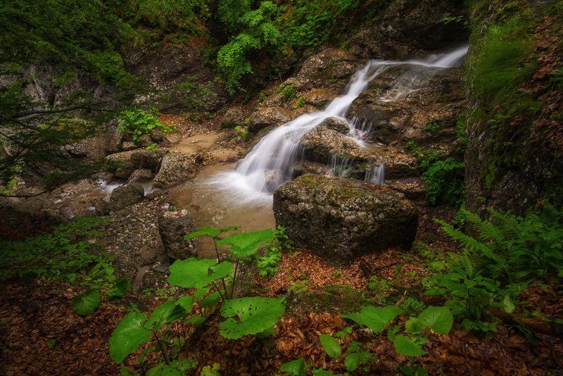 Mountain freshnessphoto preview