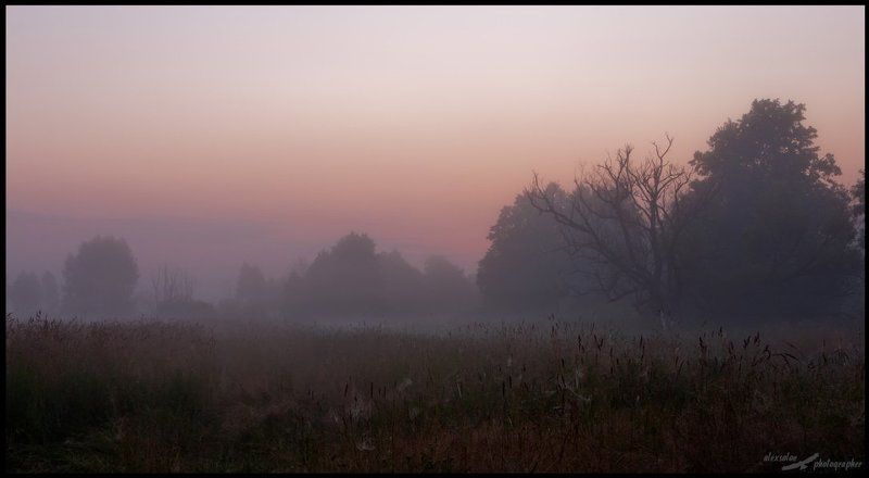 мещера ***photo preview