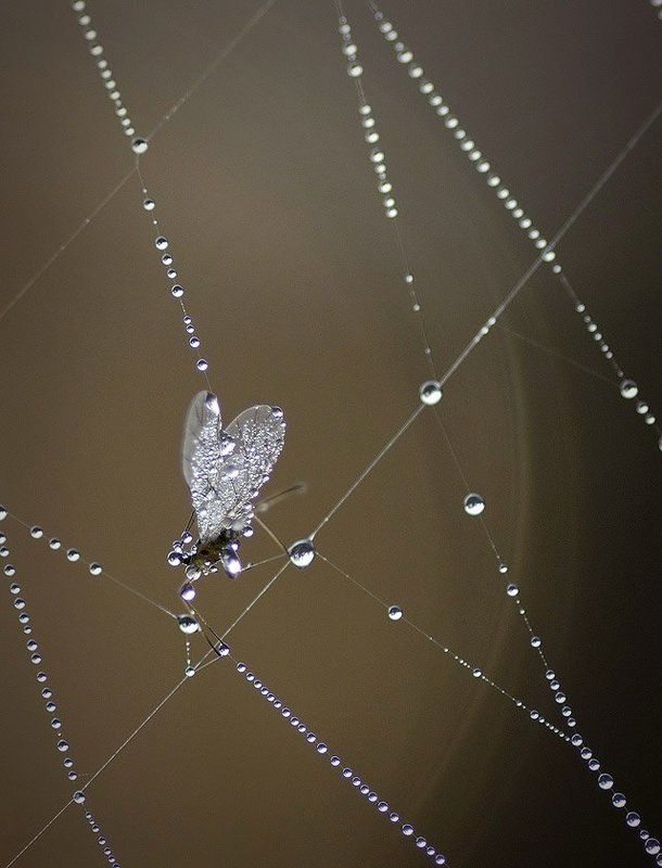 Последнее выступление в сезонеphoto preview