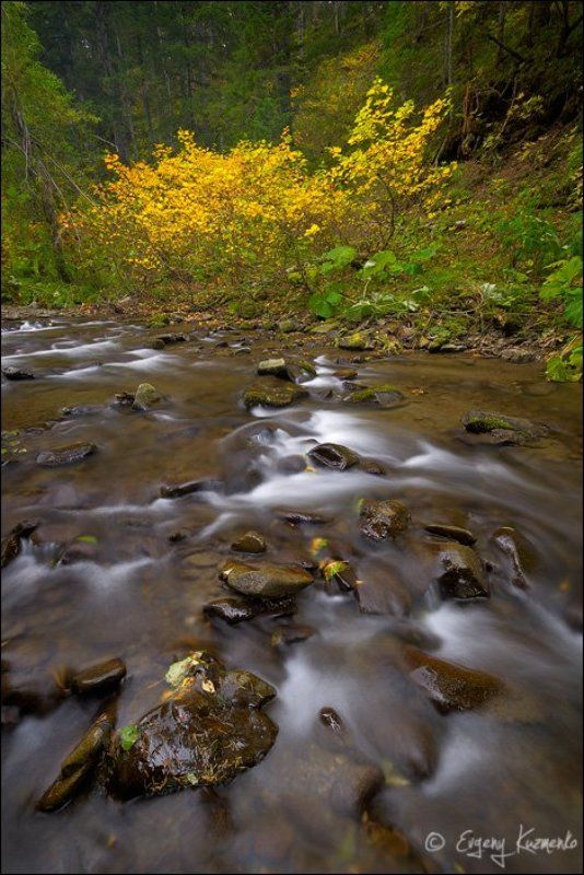 Осень на ручье Ястребокphoto preview