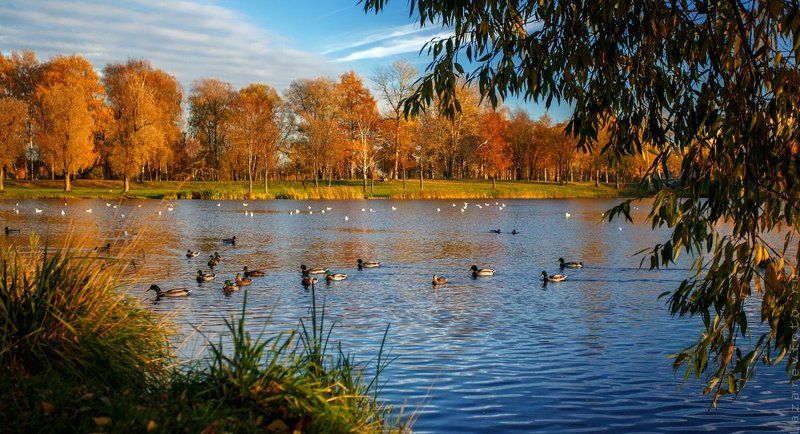 Муринский 2 фото превью