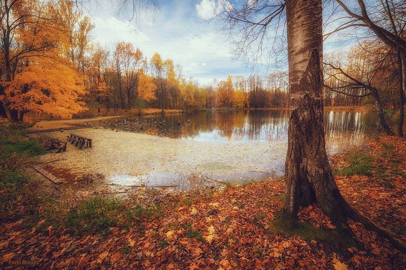 Осень в Битцеphoto preview